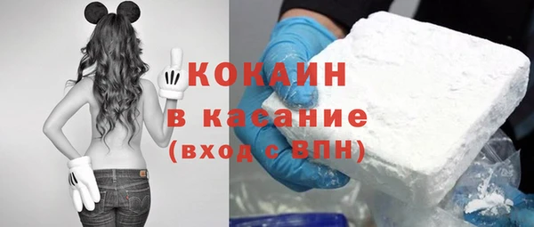 крисы Армянск