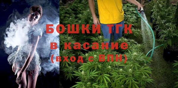 крисы Армянск